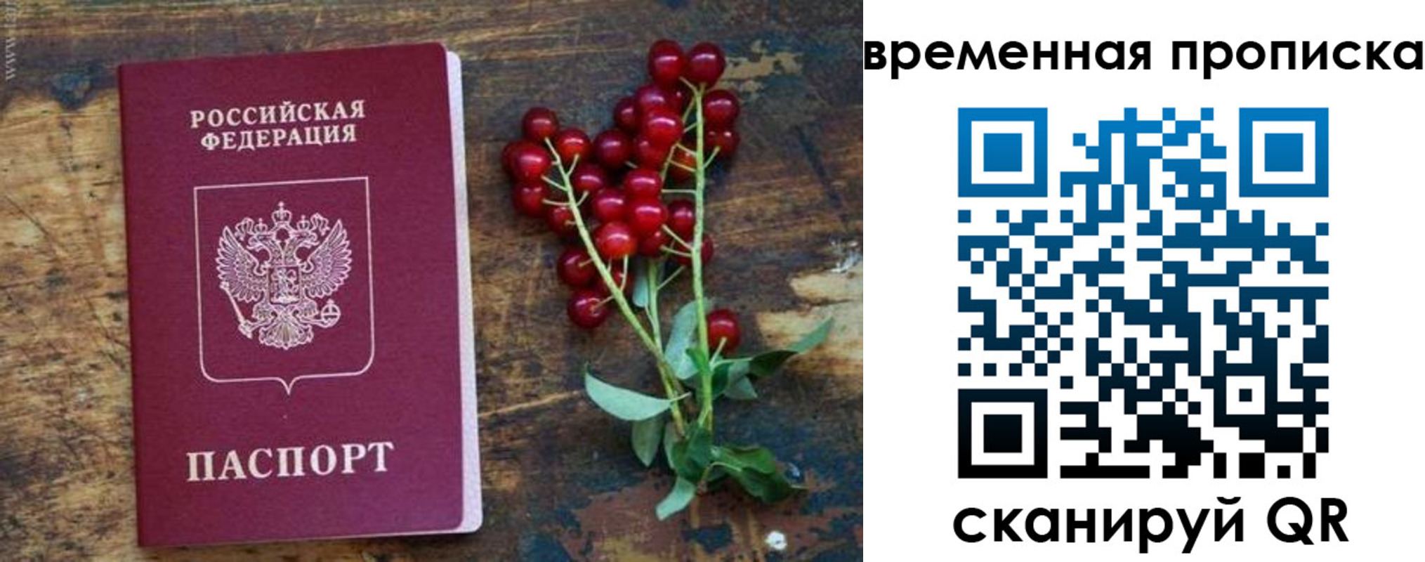 временная регистрация гарантия в Тайге